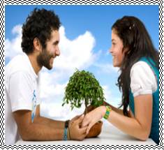 ��������: ���� �������